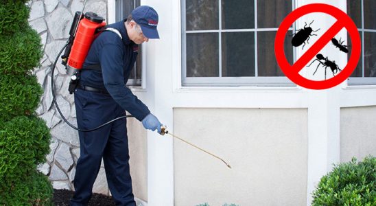 Baklan Kene İlaçlama böcek ilaçlama ve haşere kontrolü — ilaclama-tr.com
